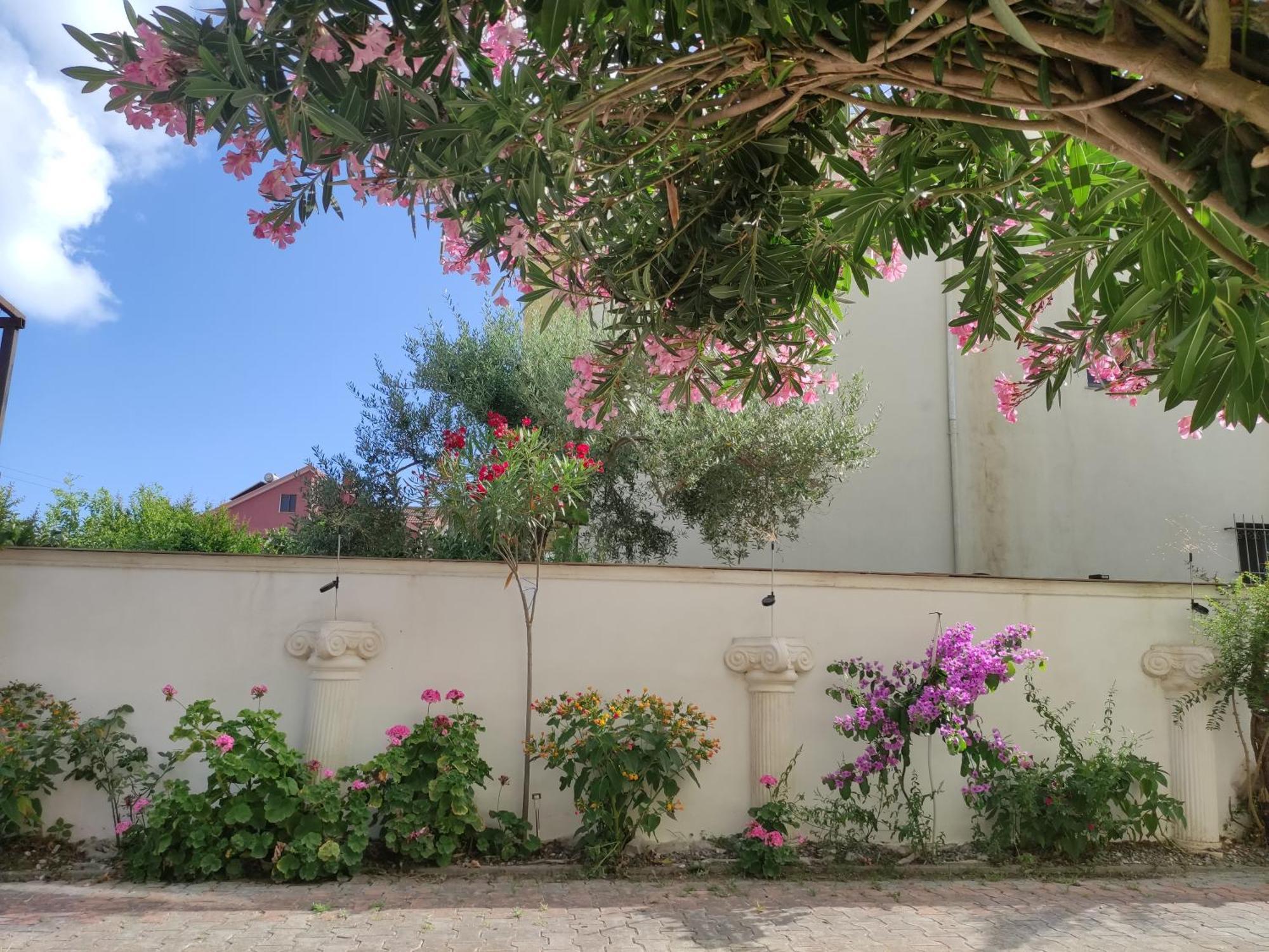 Ilirida-Swimming Pool & Garden View Rooms For Rent Durrës Exterior foto